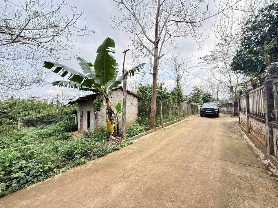 Lô Đất Ba Trại, Ba Vì 3200m² - Sổ Đỏ Chính Chủ, Tiềm Năng Vượt Trội