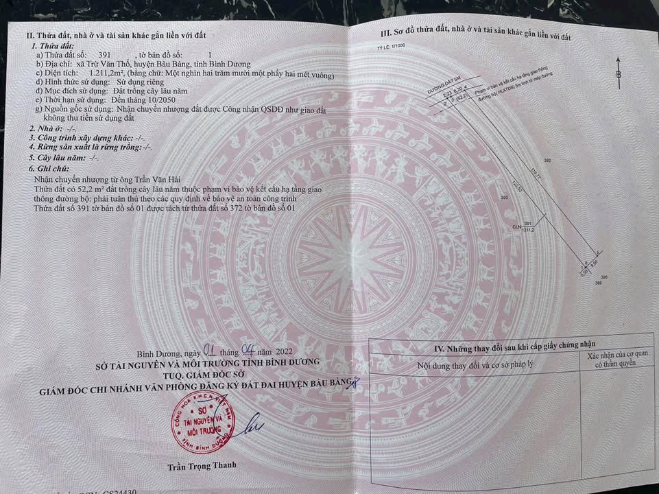 Đất nền Xã Trừ Văn Thố, Bàu Bàng 12000m² - Tiềm năng tăng giá vượt trội!