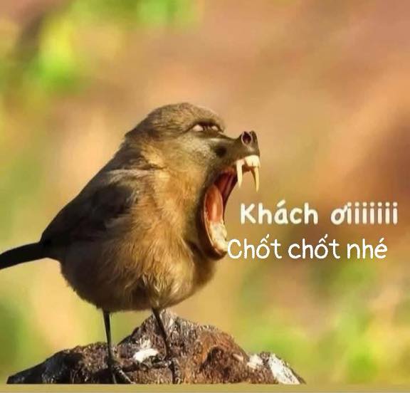 Đất nền Quốc Lộ 18 Quảng Yên 115m² - Mặt tiền kinh doanh đắc địa!