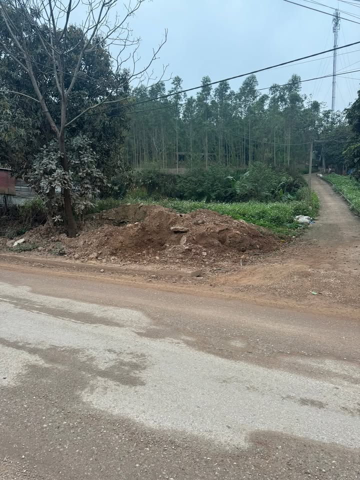 Đất nền Yên Thế Bắc Giang 230m² - Sổ đỏ chính chủ