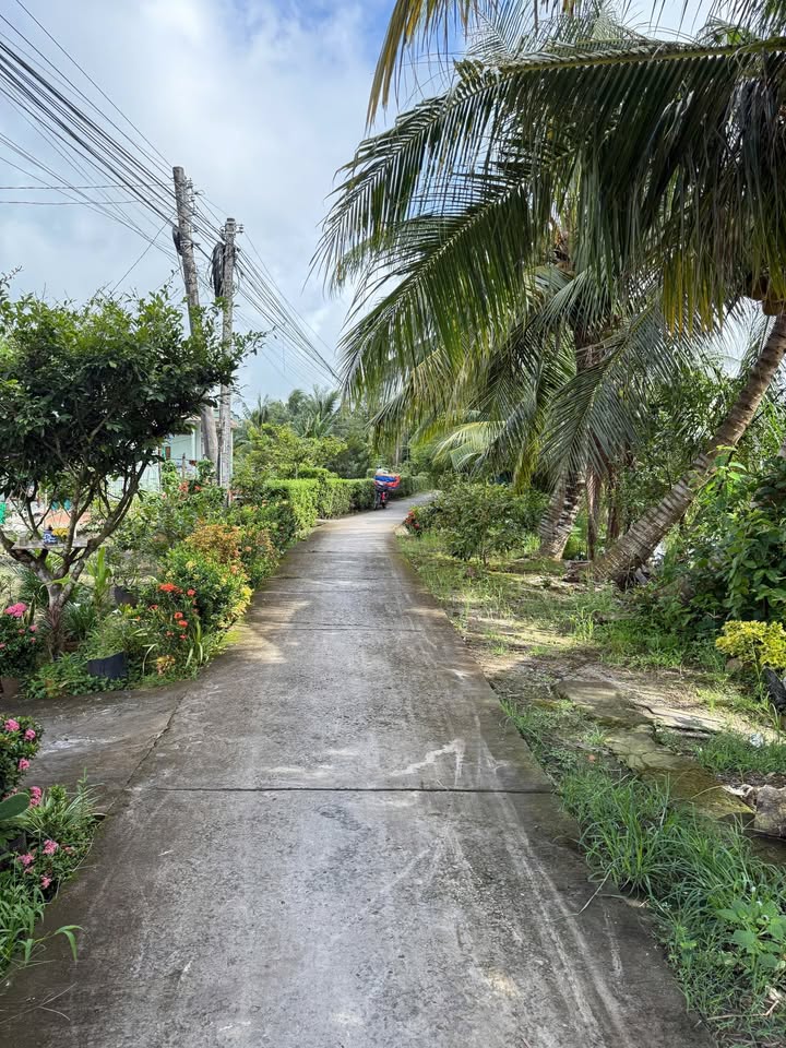 Đất Thổ Cư 200m² Thới Lai, Cần Thơ - Sẵn Sổ, Giá 550 Triệu