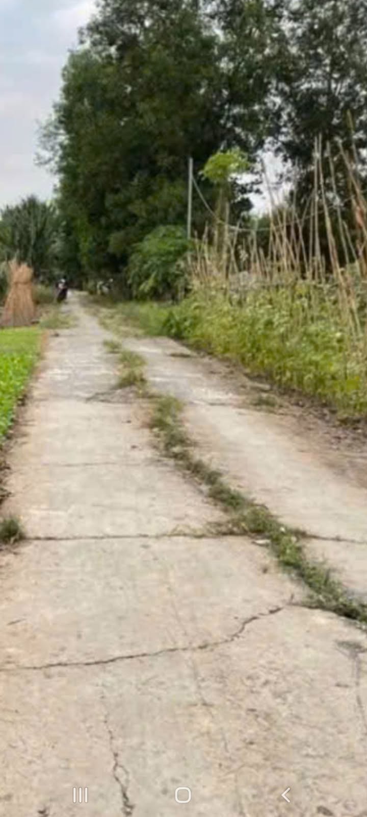 Bán Đất Thổ Cư Ấp 7, Hòa An, Phụng Hiệp - 96m² Giá Chỉ 155 Triệu