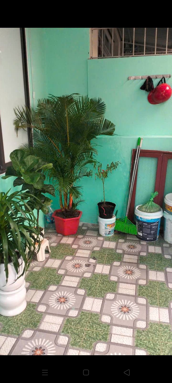 Nhà 46m² 1.5 Tầng, Ngõ 50m Đường Năm Cũ Quán Toan, Hải Phòng - Giá 3 Triệu