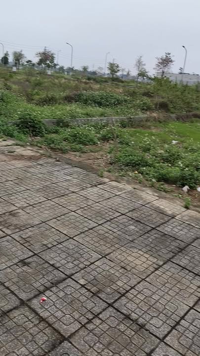 Bán Đất Biệt Thự 200m² Hòa Mạc - Kinh Doanh Đắc Địa, Sổ Đỏ Lâu Dài