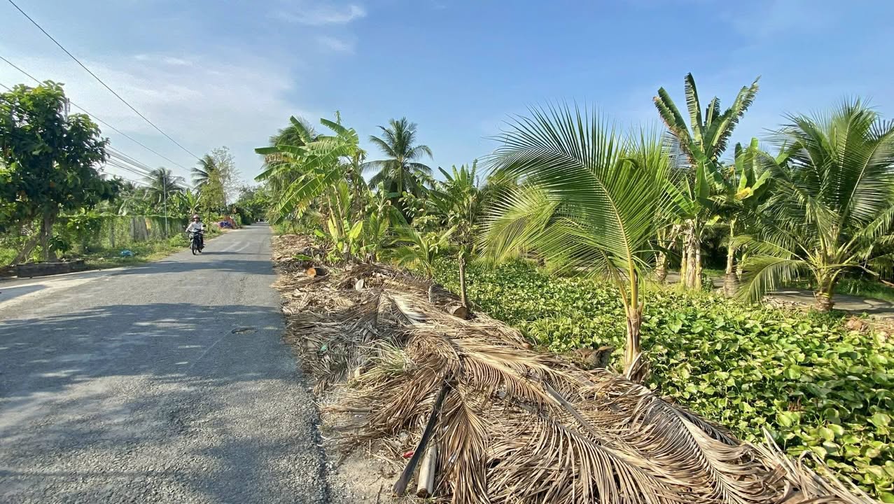 Đất vườn Long Định, Châu Thành 473m² - Sinh thái xanh, view kênh mát lành!