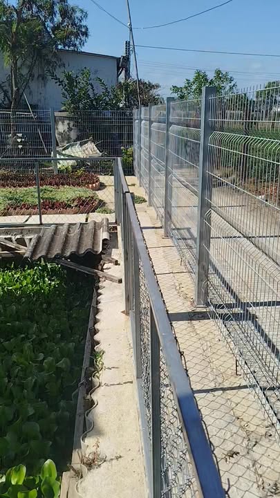 Bán nhà vườn Bình Nghị Gò Công 349m² giá 950tr - Sẵn sàng ở ngay!