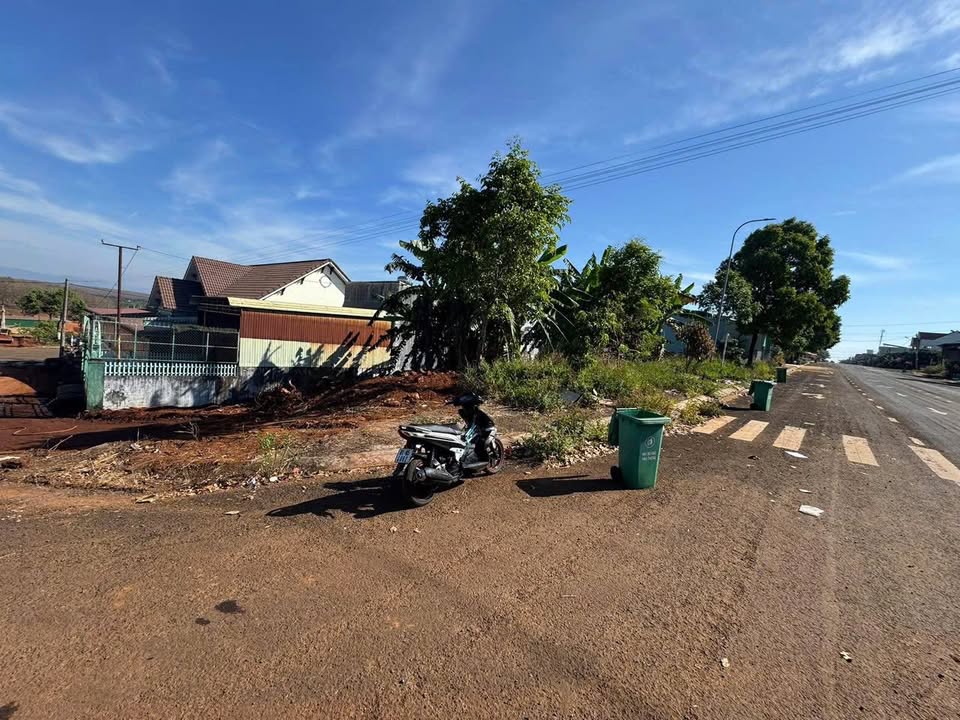 Đất Lô Góc Mặt Tiền Trường Chinh, Đức Cơ - 140m², Sẵn Sàng Đầu Tư