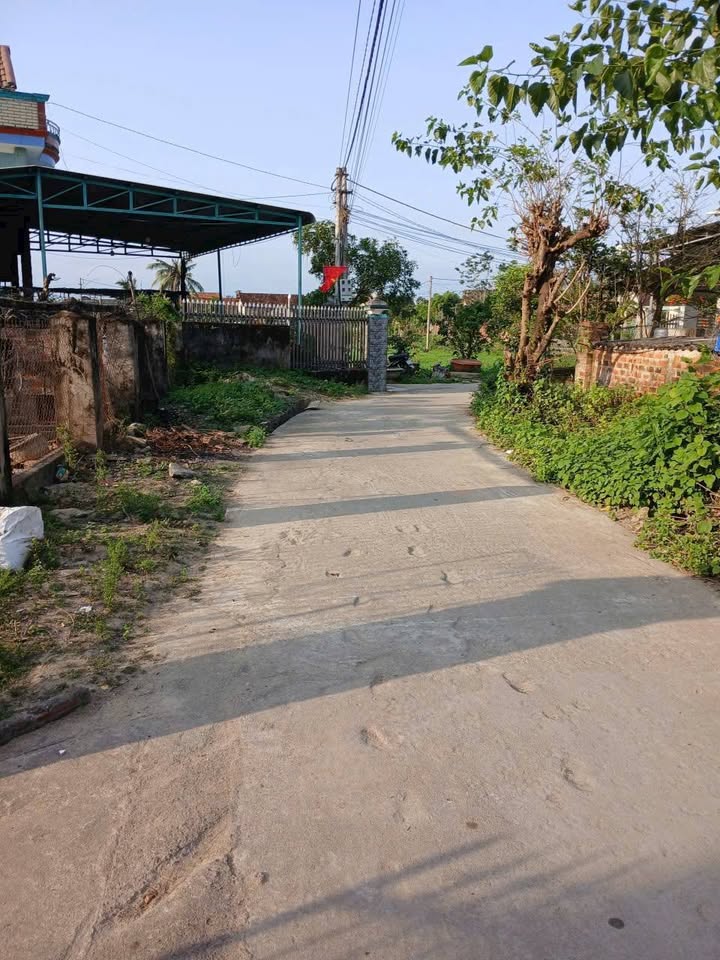 Đất nền An Nhơn, Pleiku 266m² - Tiềm năng tăng giá vượt trội!