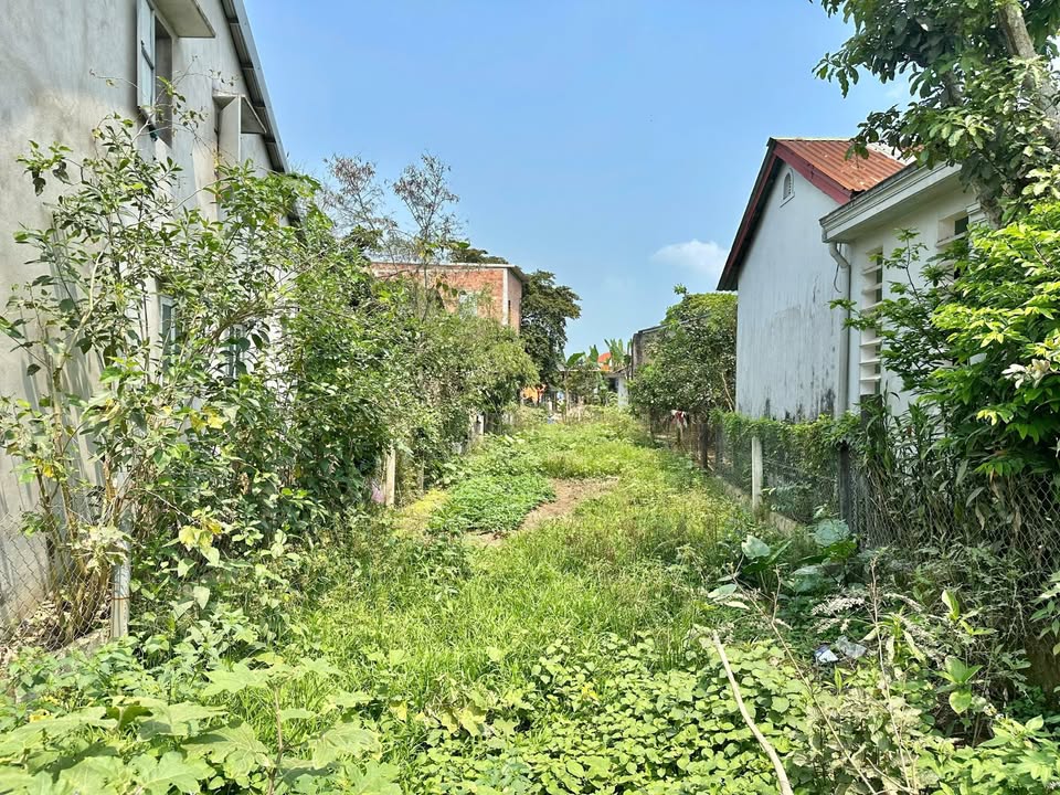 Đất nền Mặt tiền Bùi Thị Xuân, TP Huế 274m² - Tiềm năng tăng giá vượt trội!