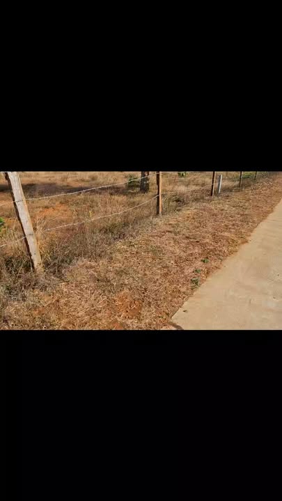 Đất nền Đức An 1000m² - Đường ô tô, tiềm năng tăng giá!