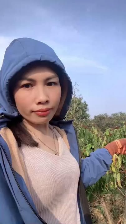 Bán đất rẫy Đắk Sin Đắk R'Lấp 3ha giá 5.1 tỷ - Đầu tư dài hạn cực tốt!