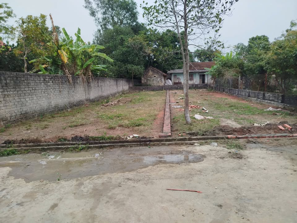 Đất Thị trấn Thắng, Hiệp Hòa 200m² - Đường to ô tô