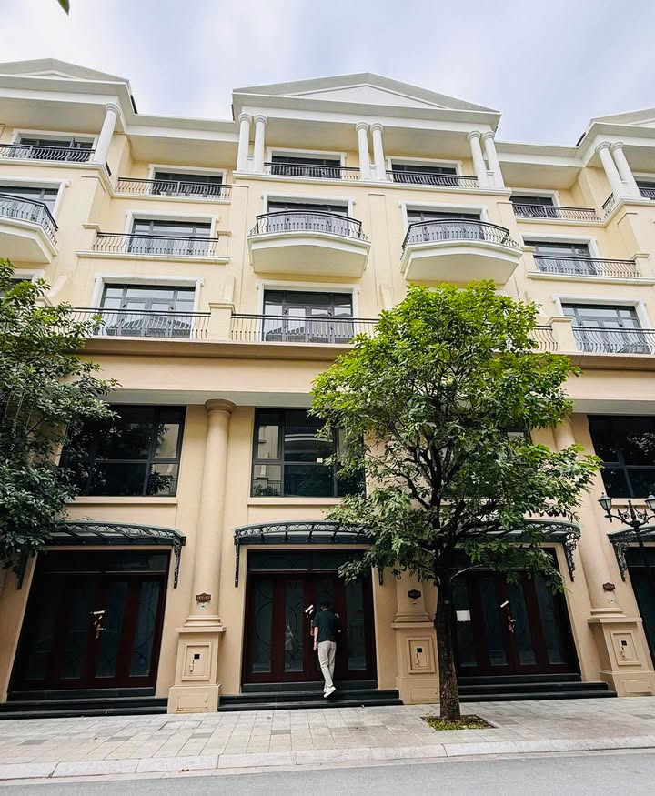 Bán Đất Đảo Đừa Vinhomes Ocean Park 70m² Hướng Đông Nam - Giá Tốt Nhất