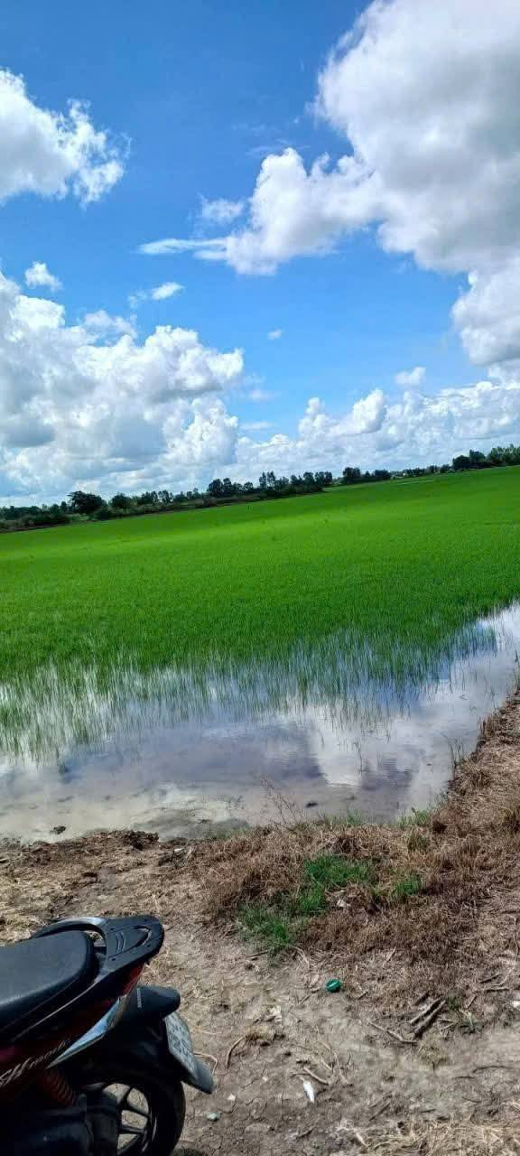 Đất nền Mỹ Lâm Hòn Đất 13.000m² 13 tỷ - Sổ hồng rõ ràng