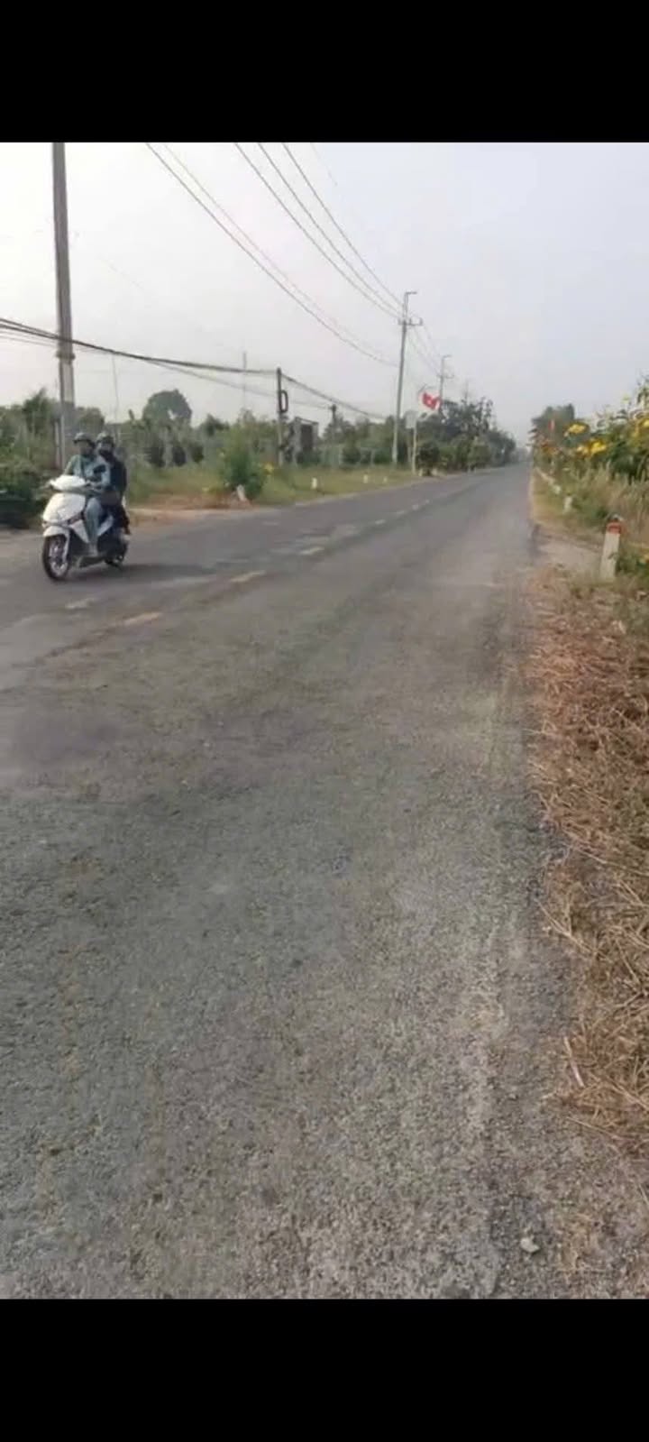 Bán Đất Vườn 30.000m² Mặt Tiền Tỉnh Lộ 845, Đồng Tháp - Giá Tốt