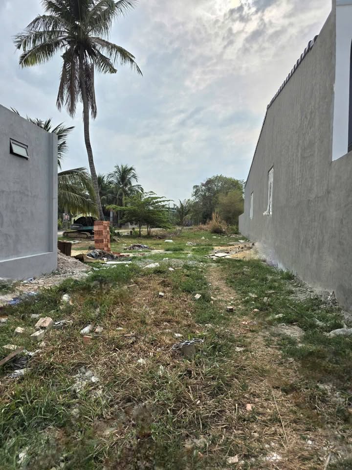 Đất Nền Ninh Thạnh Tây Ninh - 260m² Thổ Cư, Nở Hậu, Giá Chỉ 800 Triệu