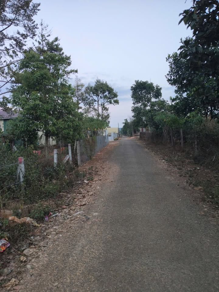 Đất Nền Hẻm Trường Sơn, Gia Lai - 180m² Full Thổ Cư, Giá 5xx Triệu