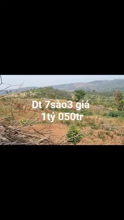 Đất Nền Trường Xuân, Đạ Tẻh 7300m² - Tiềm Năng Tăng Giá Vượt Trội!