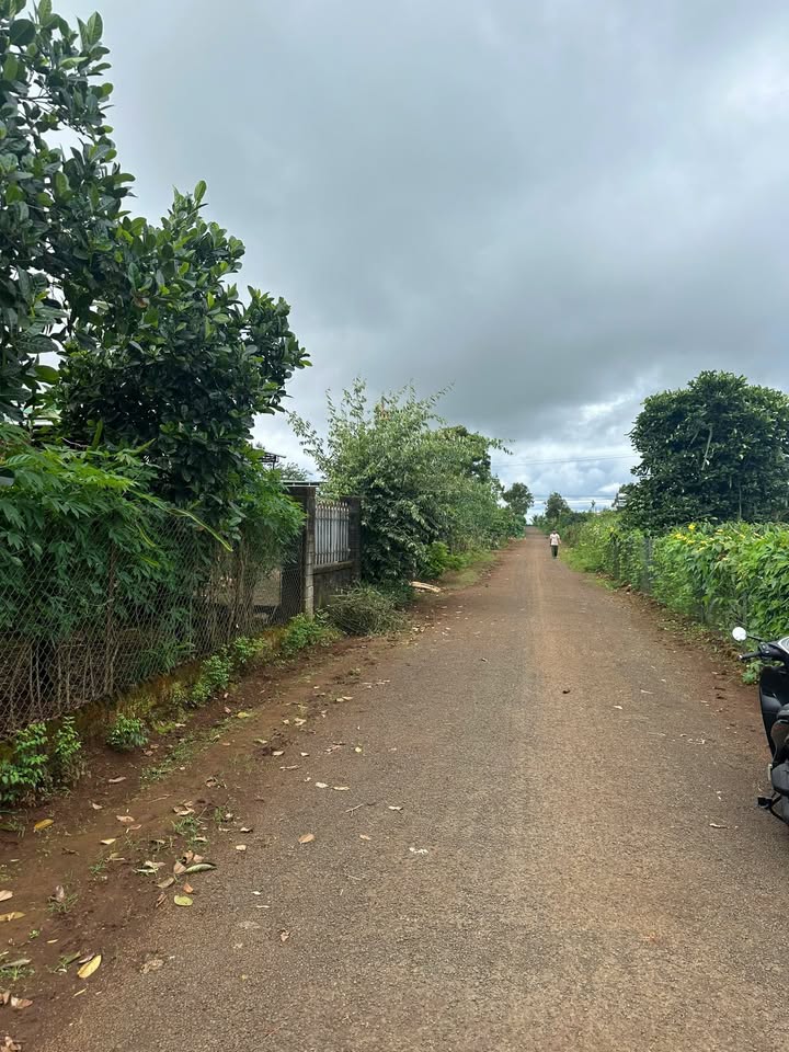 Đất nền Pleiku 275m² - Xây dựng tự do, tiềm năng sinh lời!