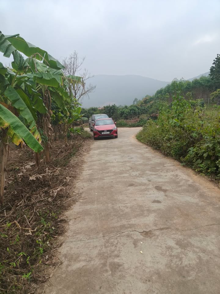 Đất vườn Bình Sơn Lục Nam 3999m² giá 1 tỷ - Nghỉ dưỡng lý tưởng!