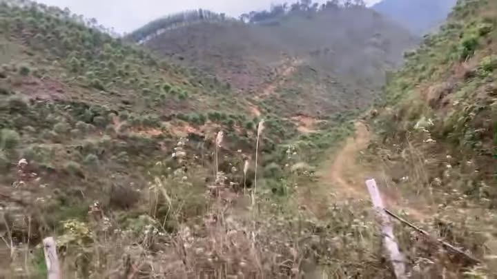 Bán Gấp 1.1ha Đất Rừng Sản Xuất MT QL345 Đông Triều - Tiềm Năng Đầu Tư