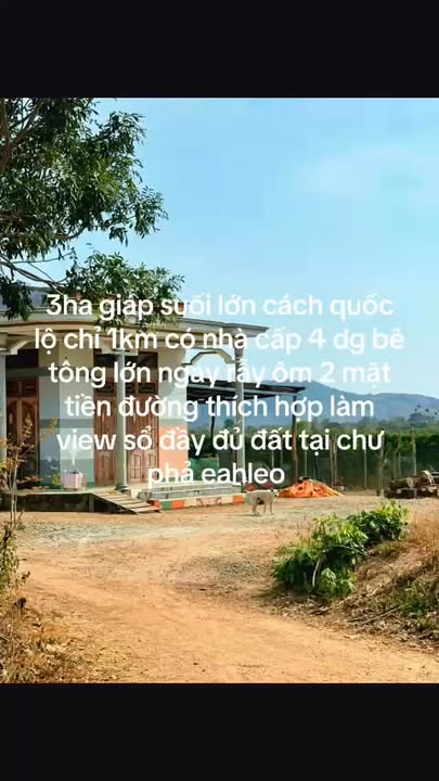 Bán Gấp Đất Vườn Ea H'Leo 3ha - 2 Mặt Tiền Đường, Sổ Đỏ Đầy Đủ