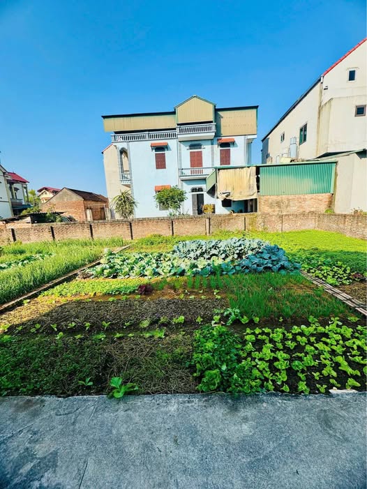 Đất nền Mỹ Hào 56.8m² 1.1 tỷ - Đường to ô tô, Sổ đỏ sẵn sàng!