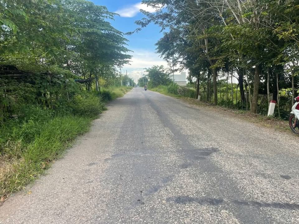 Đất nền Phú Tân, An Giang 4900m² - Tiềm năng tăng giá vượt trội!