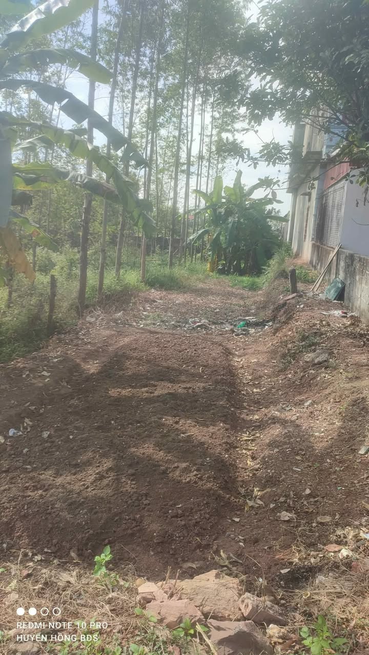 Đất nền QL37 Bắc Giang 99m² - Kinh doanh đắc lợi, giá đầu tư 1.8 tỷ