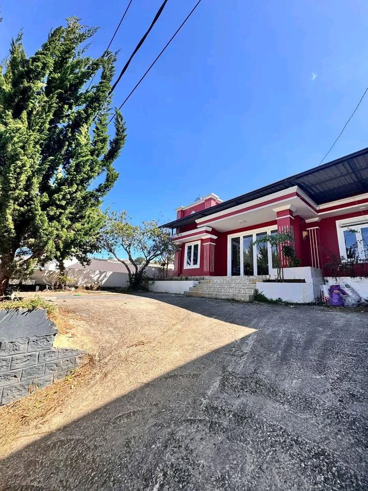 Nhà Nguyên Căn 300m² Đà Lạt - Sẵn Sàng Kinh Doanh Homestay