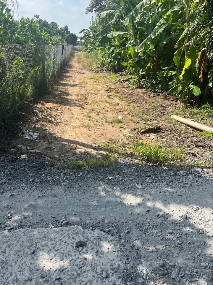 Đất nền Phú Đức, Tam Nông 375m² - Giá 680 triệu, ô tô vào tận nền