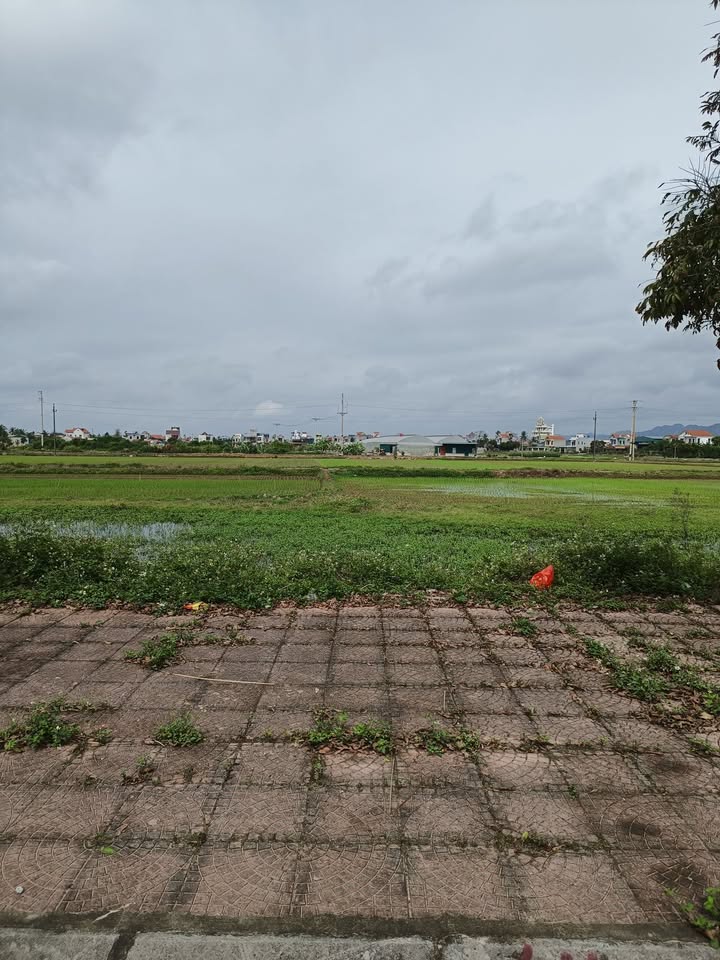 Đất Nền Hướng Đông - 100m² Mặt Tiền Kinh Doanh Tại Nga Sơn