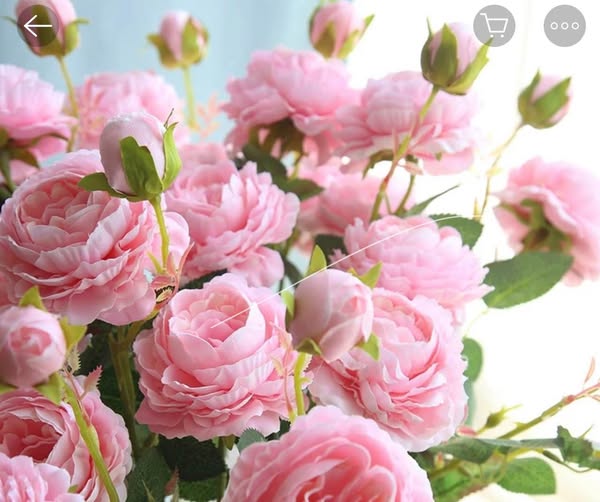 Đất nền Tây Giang 80m² - Đường ô tô 7 chỗ, tiềm năng tăng giá!