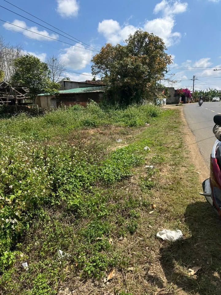 Đất Nền M'Đrắk Đắk Lắk 240m² 600 Triệu - Mặt Tiền Kinh Doanh Đắc Địa