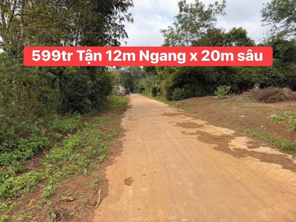 Đất Nền Ea Kênh Krông Pắc - 1200m² Sổ Đỏ, Giá 599 Triệu - Hạ Giá Sập Sàn!