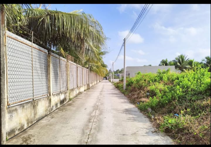 Đất nền Sơn Đông Bến Tre 117.9m² - Sổ đỏ chính chủ!