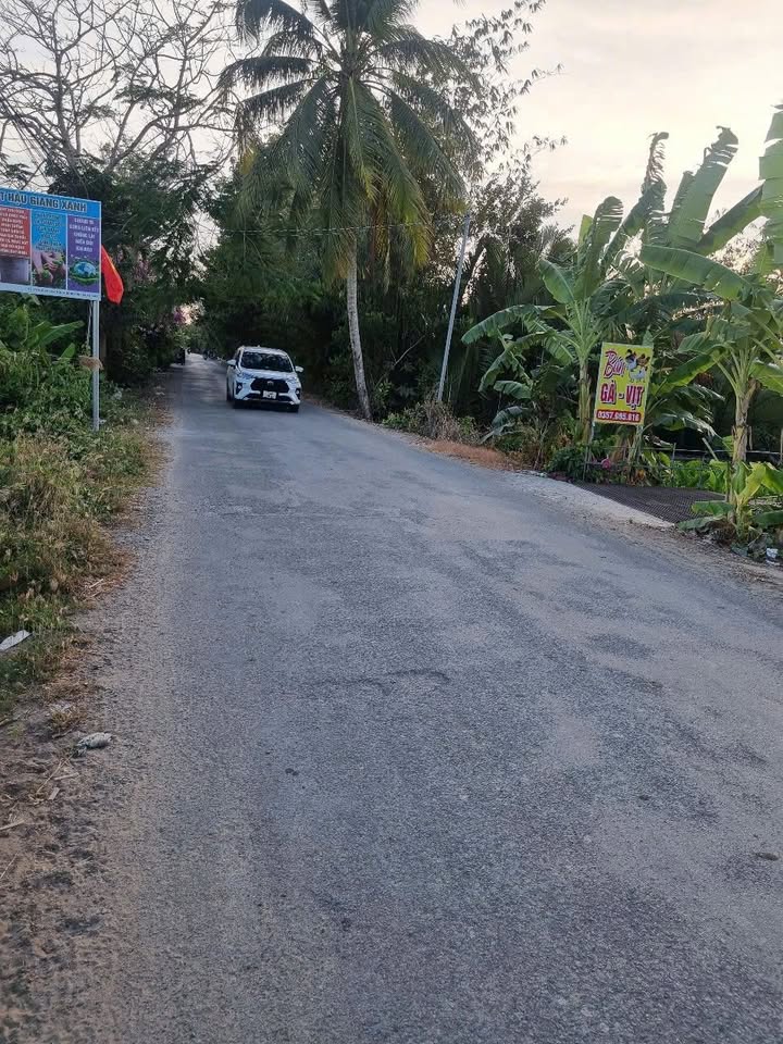 Đất nền Tân Hoà, Châu Thành A 165m² - Sổ đỏ chính chủ