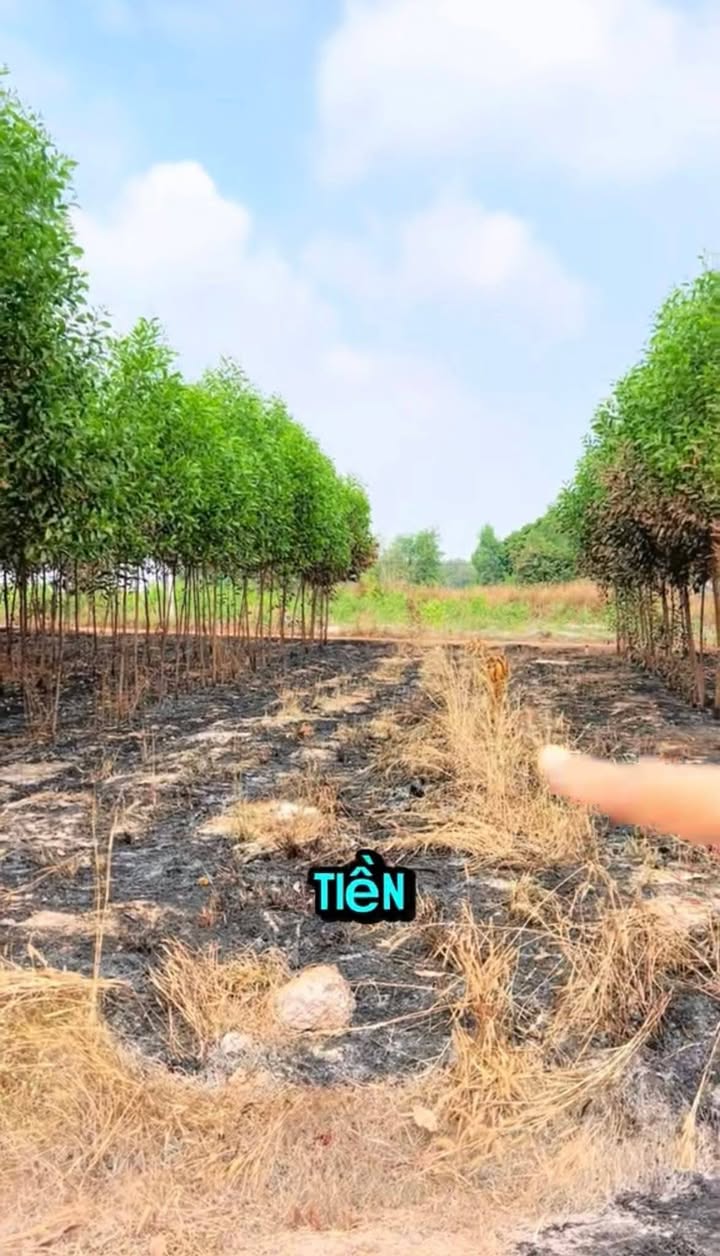 Đất Minh Hưng Chơn Thành 135m² giá 470tr - Sổ đỏ chính chủ