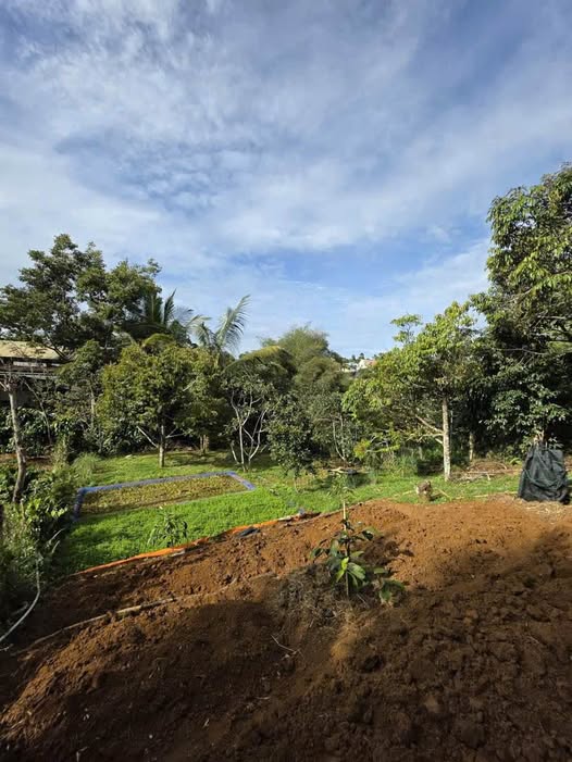 Nhà Mặt Tiền Lạc Long Quân Bảo Lộc - 1344m² Kinh Doanh Đắc Địa