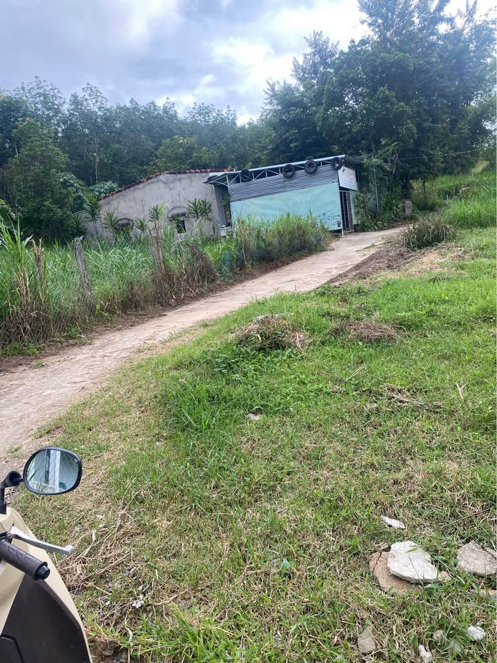 Đất nền Thôn 5 Kon Tum 196m² - Sổ đỏ sẵn, xây tự do!