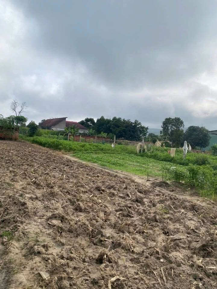 Đất nền Kon Tum 335m² hơn 700 triệu - Tiềm năng tăng giá cao!