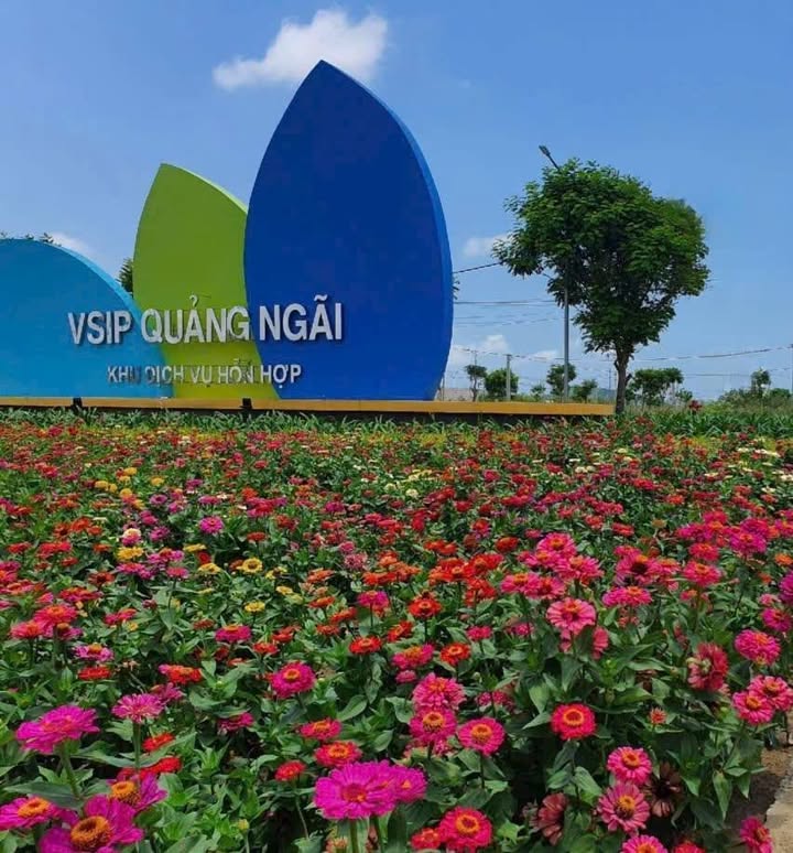 Đất VSIP Quảng Ngãi Sa Thầy 132m² 0,9 tỷ - Vị trí đẹp
