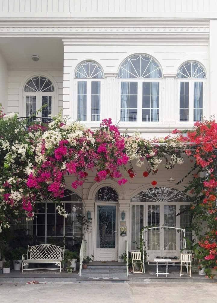 Bán Nhà Mặt Tiền Phan Chu Trinh Kon Tum 181m² - Vị Trí Đẹp Kinh Doanh Ngay!