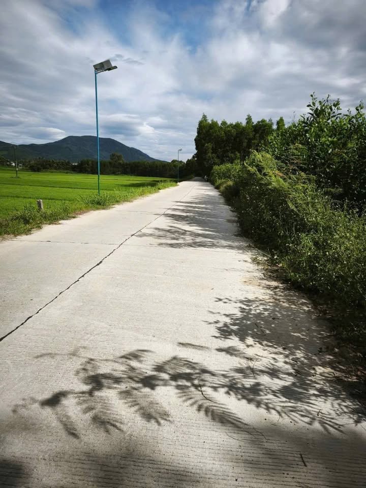 Đất Nền Nghĩa Hành 1200m² - Bám Đường Bê Tông 72m, Giá Đầu Tư 199 Triệu