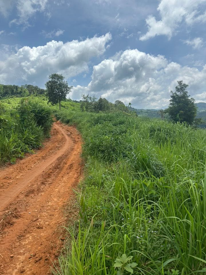 Đất vườn Đắk Hà Kon Tum 4.5ha giá 400 triệu - Đầu tư dài hạn!