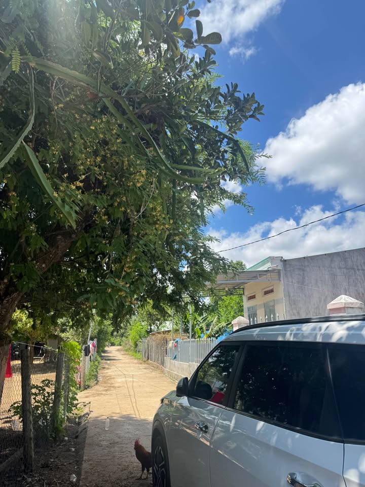 Đất nền Xã Đoàn Kết Kon Tum 240m² - Sổ đỏ chính chủ!