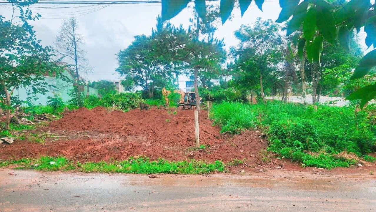 Đất Vàng Lý Thái Tổ Măng Đen 231m² - Cơ Hội Đầu Tư Sinh Lời!