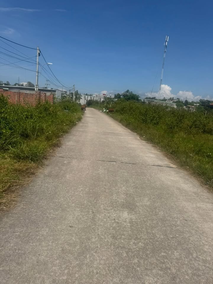 Bán Đất Thổ Cư 197m² Đắk Cấm, Kon Tum - Hướng Nam, Đường Rộng