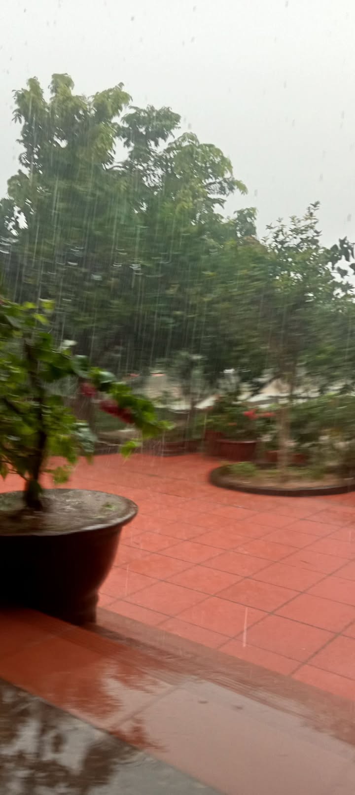 Đất nền 155m² 2 mặt tiền - Hướng Đông & Bắc, Sa Thầy, Kon Tum - Giá tốt