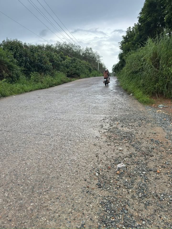 Bán rẫy cà phê Đăk Hà Kon Tum 1ha giá 1 tỷ - Tiềm năng sinh lời cao